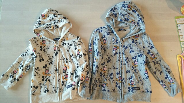 ディズニーランドが3000円 健保でディズニーハイキング ママの幸せ旅 コスパ最強を目指します