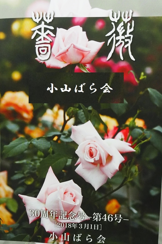 f:id:yosakoifreds:20180923142043j:plain f:id:yosakoifreds:20180923142043j:plain