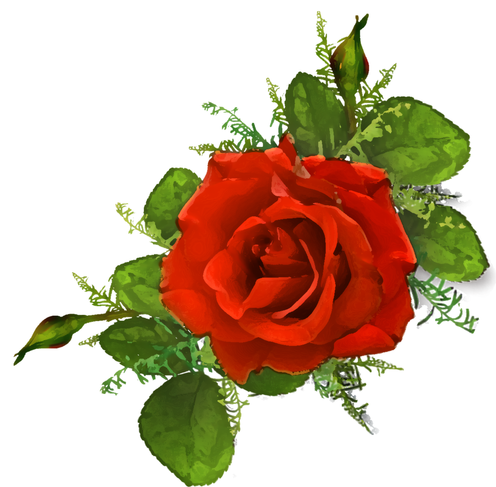 f:id:yosakoifreds:20181014230219p:plain f:id:yosakoifreds:20181014230219p:plain
