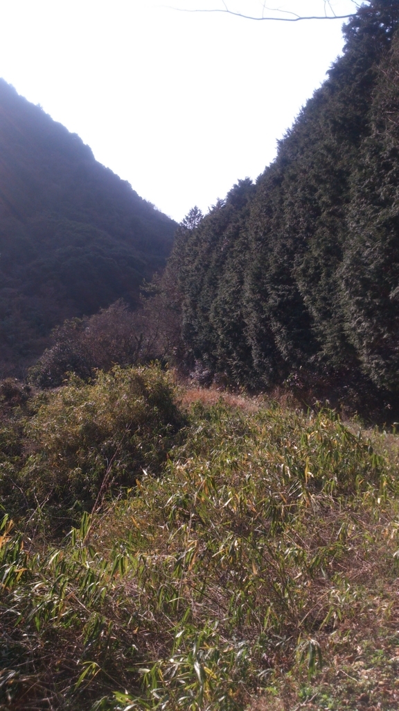 f:id:yosakorya:20180120232015j:plain