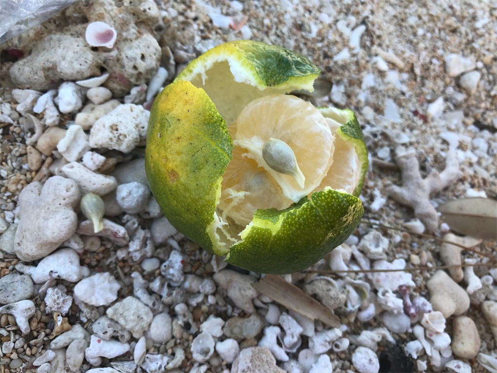 f:id:yoseinokiroku3:20181008163313j:image f:id:yoseinokiroku3:20181008163313j:image