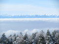 [山][雪]アルプス連峰