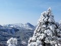 [山][雪]笠岳