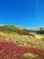 [紅葉][立山][山][空]立山