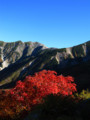 [山][立山][紅葉]七竈