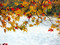 湖の紅葉