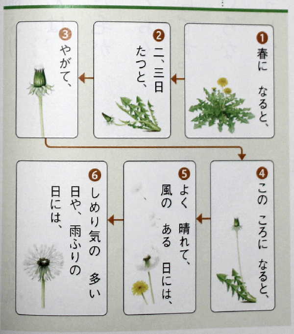 説明文を読む（15）2年「たんぽぽのちえ」 - 教育逍遙 －小学校