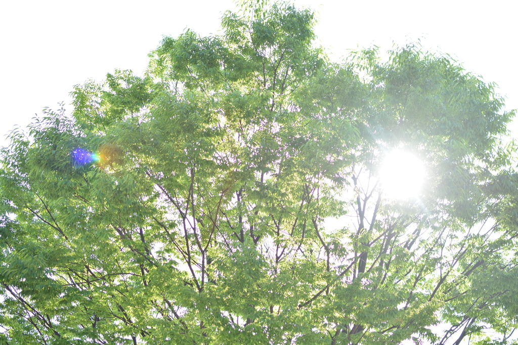 f:id:yosh1nobu:20190128084256j:plain f:id:yosh1nobu:20190128084256j:plain