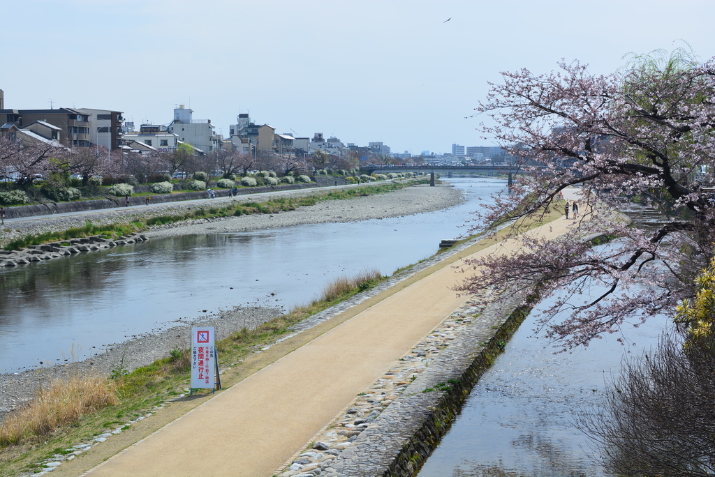f:id:yosh1nobu:20190128084510j:plain f:id:yosh1nobu:20190128084510j:plain