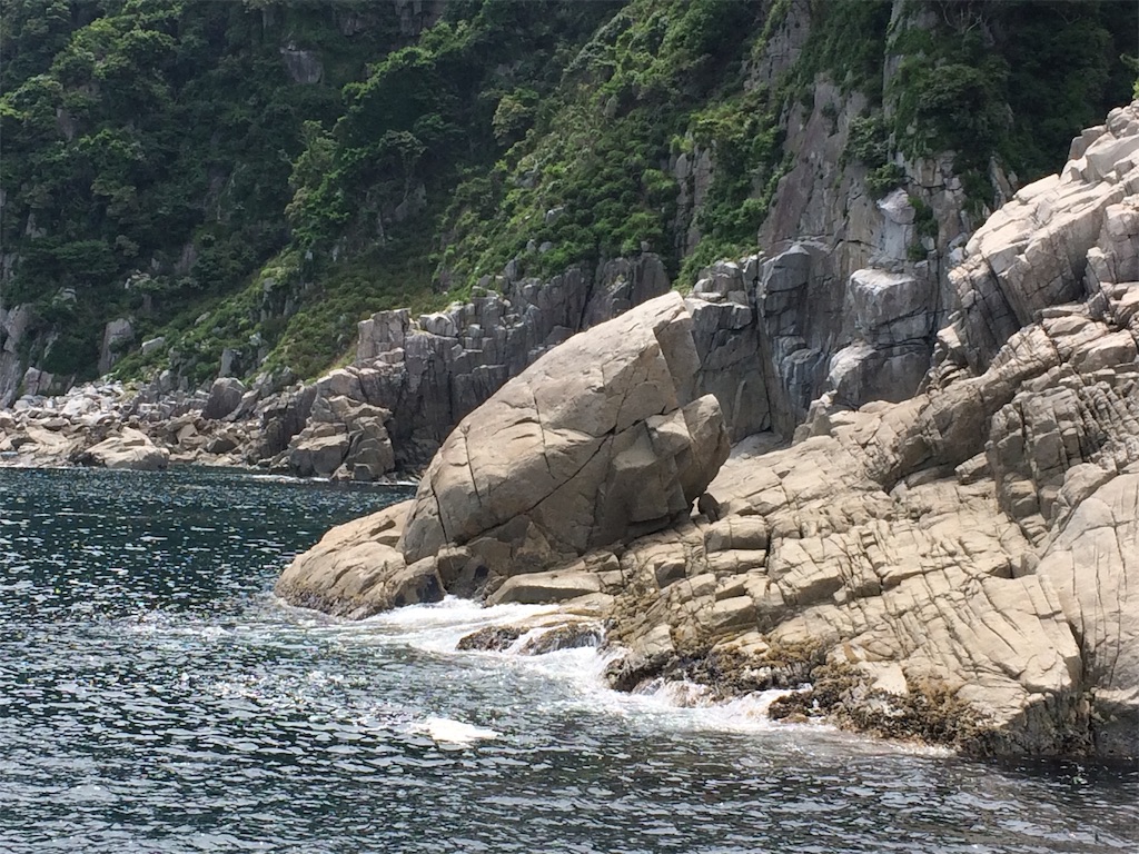 f:id:yoshi-1202:20190602201111j:image