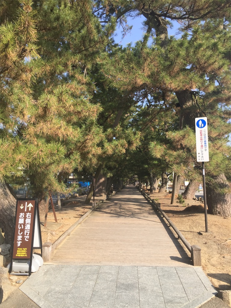f:id:yoshi-1202:20220312212359j:image