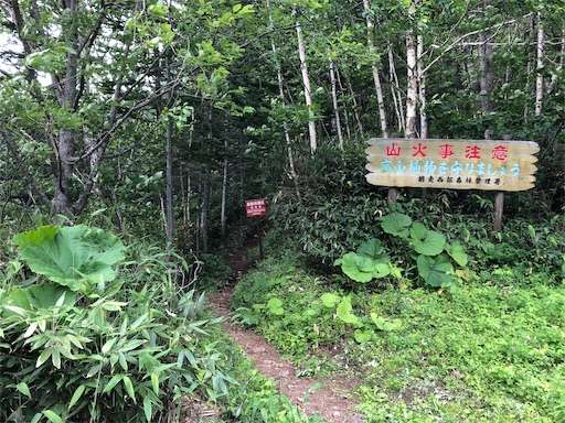 f:id:yoshi-sloth:20190729070148j:image f:id:yoshi-sloth:20190729070148j:image