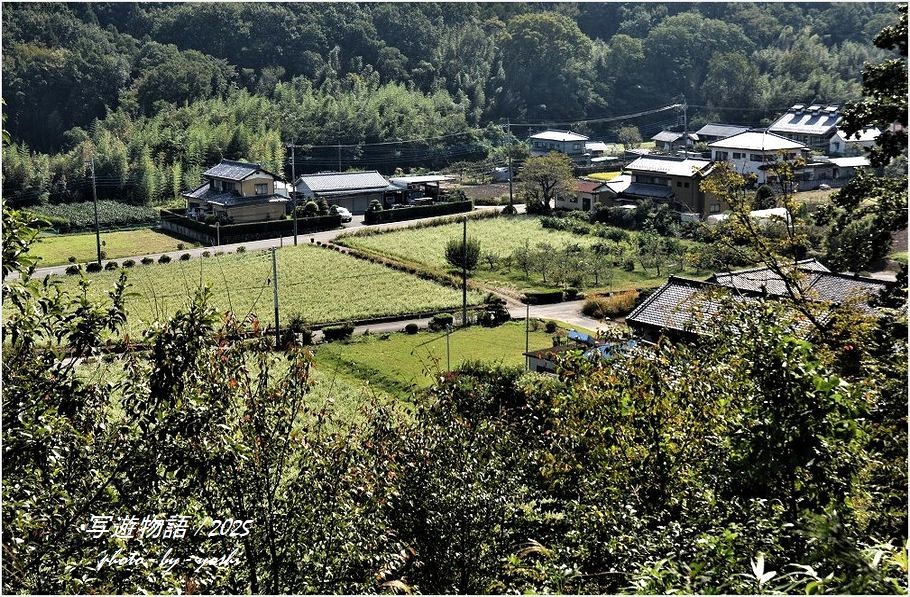 故郷の秋 - 写遊物語