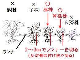 f:id:yoshi2000000:20181201150106j:plain f:id:yoshi2000000:20181201150106j:plain