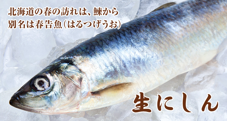 f:id:yoshi2000000:20181226142558j:plain f:id:yoshi2000000:20181226142558j:plain