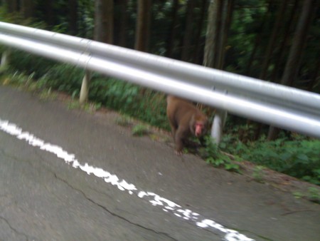 f:id:yoshi41101:20100919160121j:image f:id:yoshi41101:20100919160121j:image