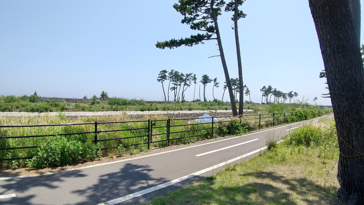 f:id:yoshi89234:20210610185625j:plain