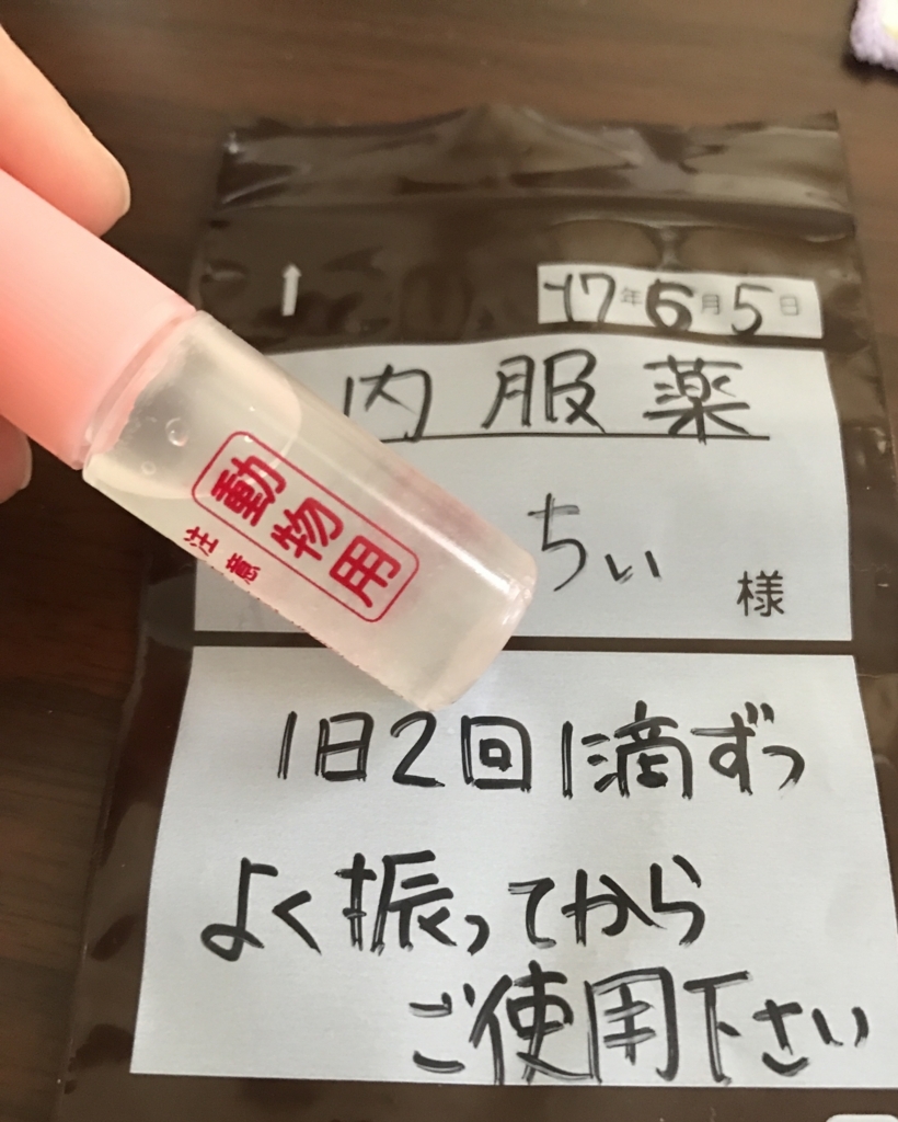 f:id:yoshi91:20170606141130j:plain f:id:yoshi91:20170606141130j:plain