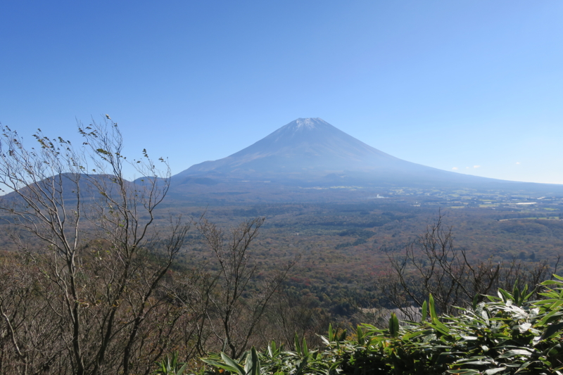 f:id:yoshi_10:20161105230102j:plain f:id:yoshi_10:20161105230102j:plain
