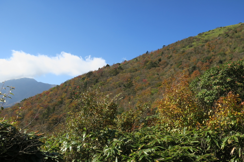 f:id:yoshi_10:20161105231917j:plain f:id:yoshi_10:20161105231917j:plain