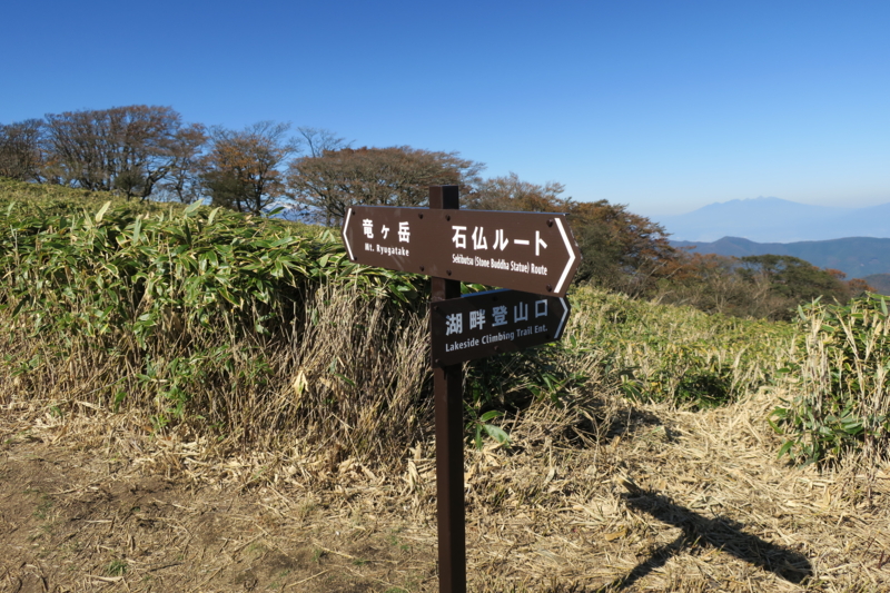 f:id:yoshi_10:20161105231920j:plain f:id:yoshi_10:20161105231920j:plain