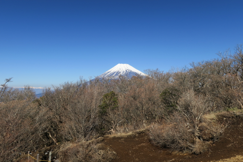 f:id:yoshi_10:20170205145450j:plain f:id:yoshi_10:20170205145450j:plain