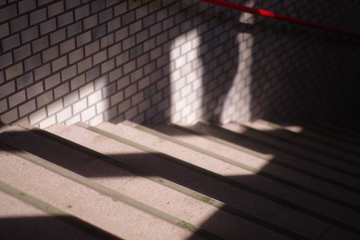 f:id:yoshi_10pa:20190314232504j:plain f:id:yoshi_10pa:20190314232504j:plain