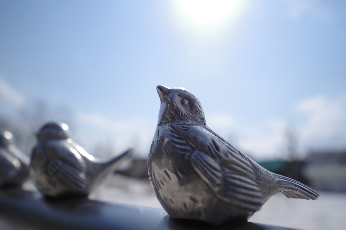 f:id:yoshi_10pa:20190325203407j:plain f:id:yoshi_10pa:20190325203407j:plain