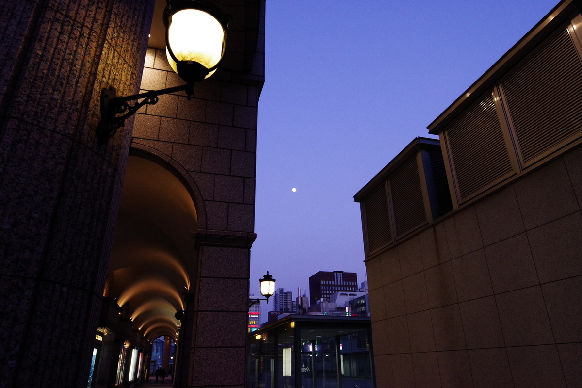f:id:yoshi_10pa:20190325203547j:plain f:id:yoshi_10pa:20190325203547j:plain