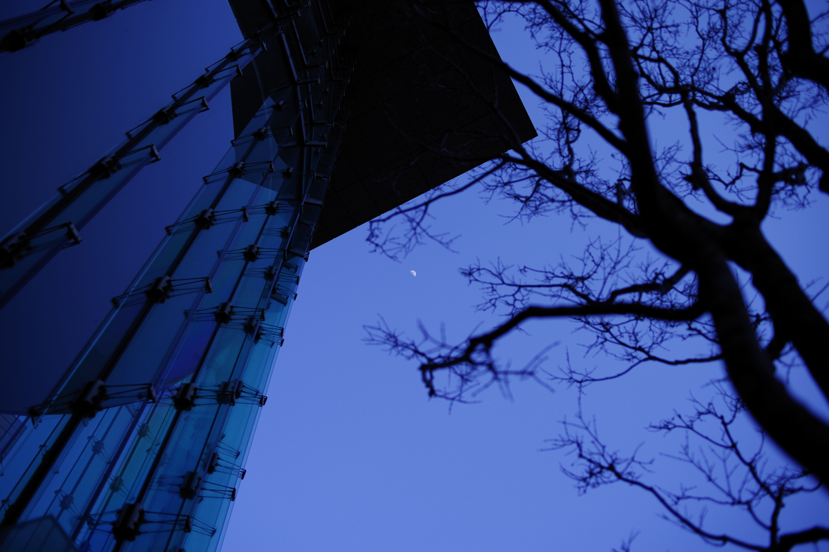 f:id:yoshi_10pa:20190420165506j:plain f:id:yoshi_10pa:20190420165506j:plain