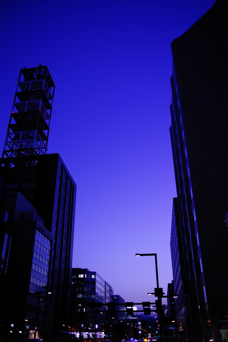 f:id:yoshi_10pa:20190420193309j:plain f:id:yoshi_10pa:20190420193309j:plain