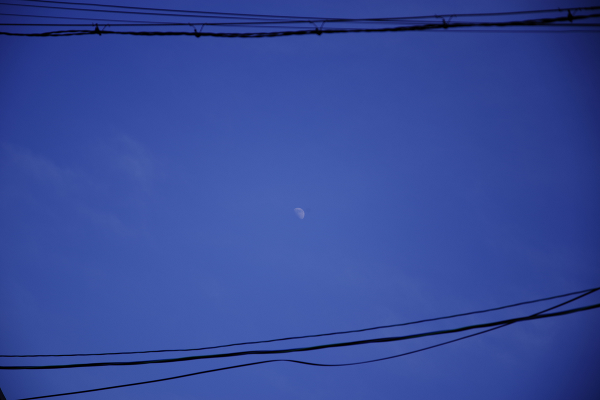 f:id:yoshi_10pa:20190420201726j:plain f:id:yoshi_10pa:20190420201726j:plain