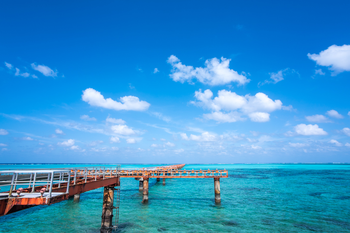 Meike 12mm F2.8 Ultra wide angel lens - その瞬間を切り撮る