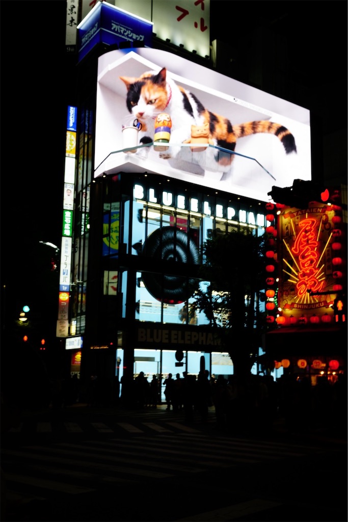 f:id:yoshi_camera:20260530175701j:image f:id:yoshi_camera:20260530175701j:image