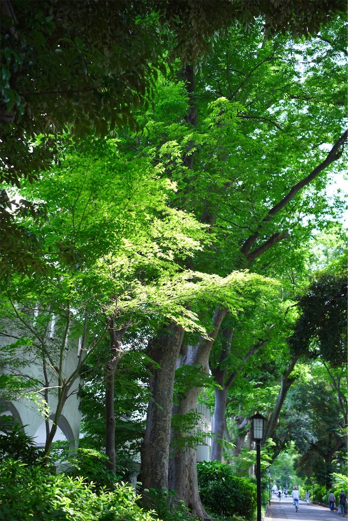 f:id:yoshi_camera:20260603123507j:image f:id:yoshi_camera:20260603123507j:image
