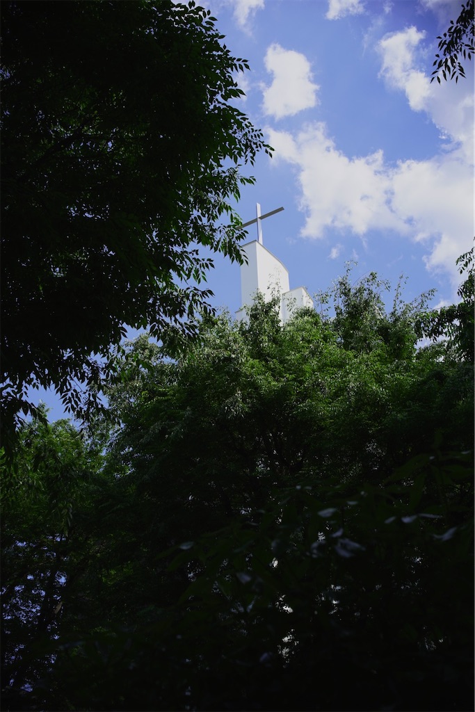 f:id:yoshi_camera:20260603144203j:image f:id:yoshi_camera:20260603144203j:image