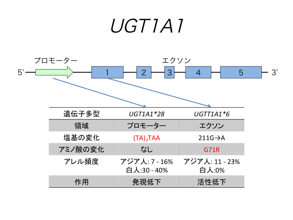 f:id:yoshi_nishikawa:20161223231746p:plain