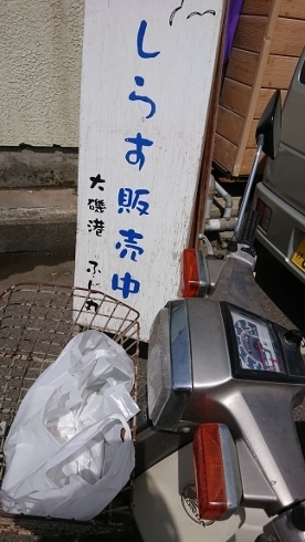 f:id:yoshi_skywalker:20190505095236j:plain