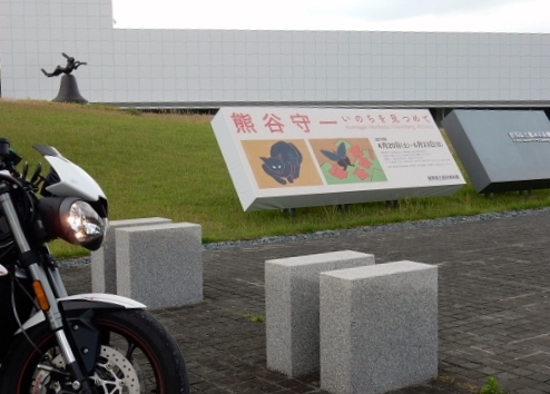 f:id:yoshi_skywalker:20190515231117j:plain