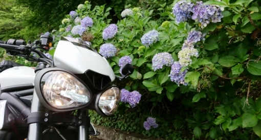 f:id:yoshi_skywalker:20190714150513j:plain