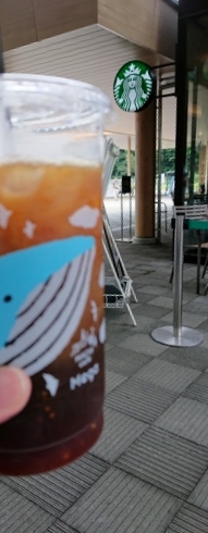 f:id:yoshi_skywalker:20190714151137j:plain