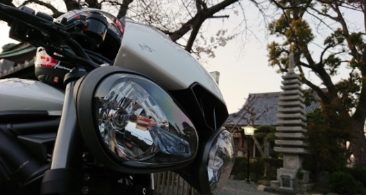 f:id:yoshi_skywalker:20200329142412j:plain