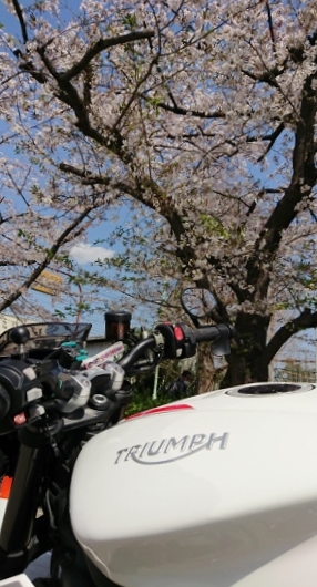 f:id:yoshi_skywalker:20200405155133j:plain