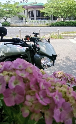 f:id:yoshi_skywalker:20200607174806j:plain f:id:yoshi_skywalker:20200607174806j:plain