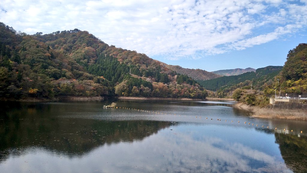 f:id:yoshi_skywalker:20201108231609j:plain