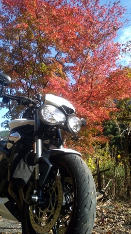 f:id:yoshi_skywalker:20201108233516j:plain