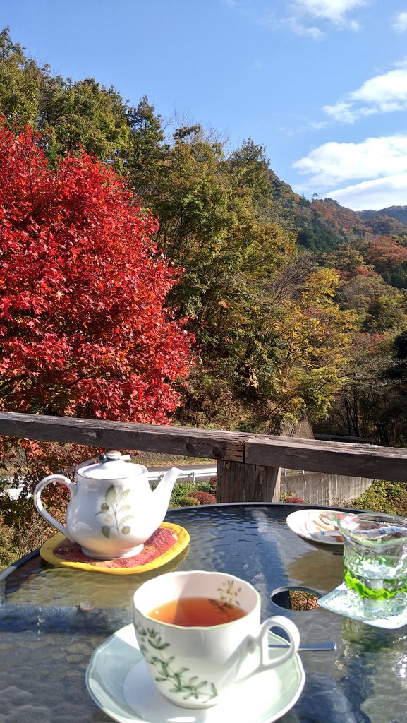f:id:yoshi_skywalker:20201108234524j:plain