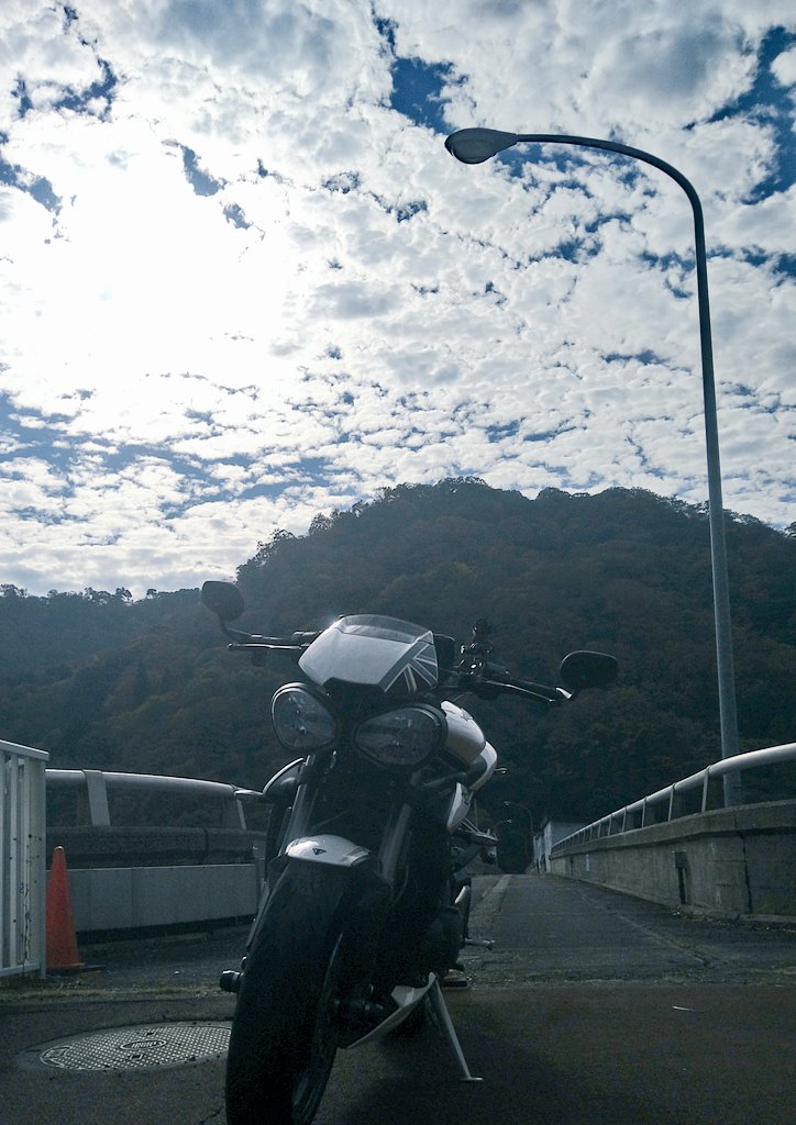 f:id:yoshi_skywalker:20201108234734j:plain