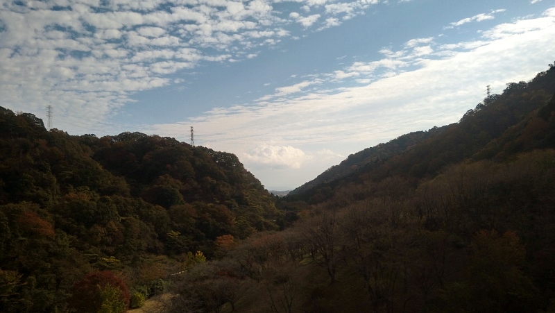 f:id:yoshi_skywalker:20201117225330j:plain