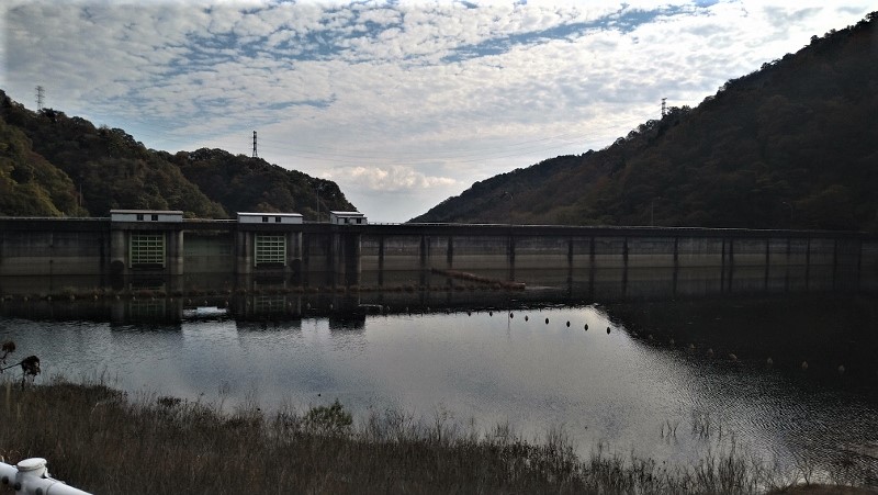 f:id:yoshi_skywalker:20201117225609j:plain